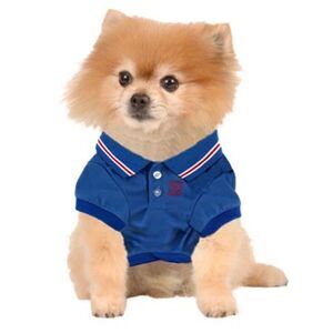 Royal Blue Pet Polo Shirt - Size S (11.5 - 13.5" chest)